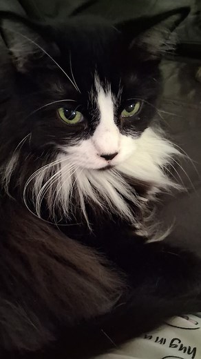 Judith Schoch on Reels