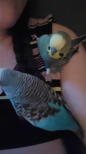 I love when he sits like this