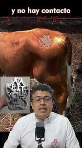 ¿Las Marcas en Caliente no sirven? Mira por qué NO es así