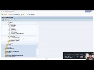 SAP ERP MODULO LOGÍSTICA