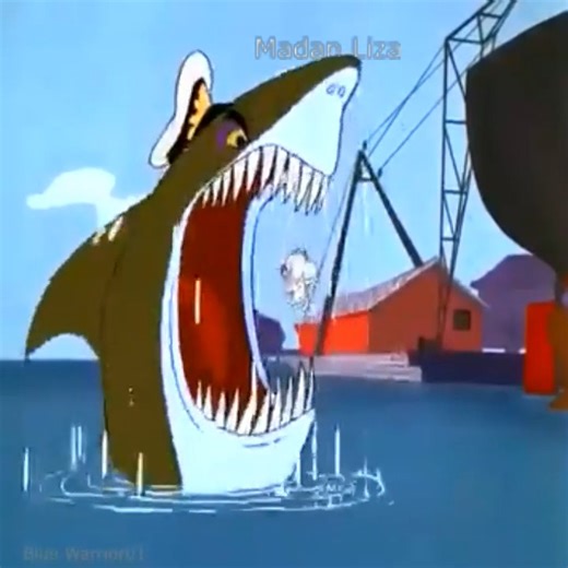 Best Cartoon Netflix 2024 | Cartoon Videos