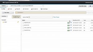 IBM Support Assistant 5.0 Team Server: Working with and managing cases