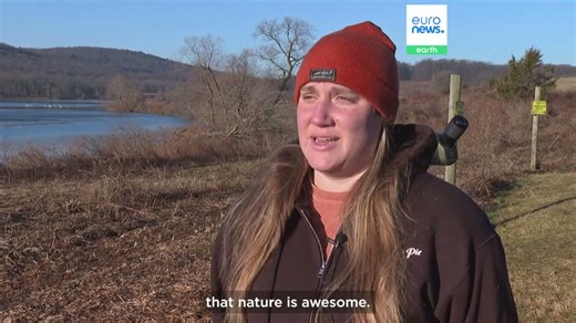 ‘Nature is awesome’: Watch as thousands of snow geese take off for the Arctic at sunrise