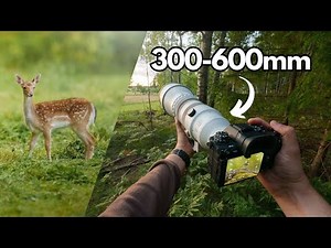 Relaxing POV Nature Photography | Birds & Wildlife Encounters
