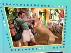 PBS Kids Pinball Zoboomafoo 2004 WFWA DT