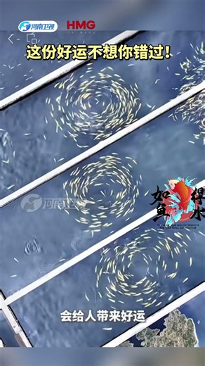 如鱼得水这份好运不想