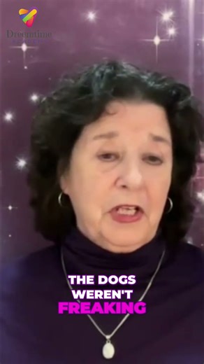 Mantis Alien Asks Me To Work With Extraterrestrials!