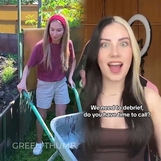 DIY Gardening Tool Future of Urban Green Spaces