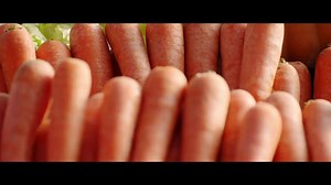 Une expérience orchestrale innovante ! Des légumes stockés 7 jours dans un réfrigérateur LG Inverter linéaire ont permis à l’orchestre de Londres d’en faire des instruments et à créer une musique fraiche et croustillante.! En savoir plus :▶ https://goo.gl/3RkKZ3 تجربة مبتكرة ! أوركسترا الخضار اللندنية، تعزف موسيقى بخضروات تم تخزينها في ثلاجة إل جي Inverter linéaire لمدة أسبوع واحد. #Réfrigérateur #LG #Inverter_Linear #London_légumes_Orchestra #NatureFRESH | LG Global