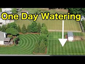 How To Water A Lawn One Day a Week
