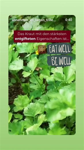 #ernährung #kräuter #gesund #gesundheit #wohlfühlen