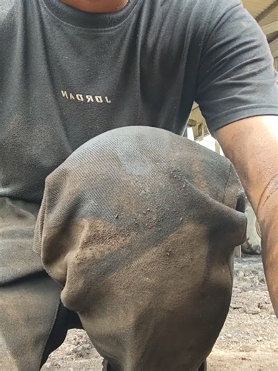 Day 9 of the Wingman Challenger Denim Project