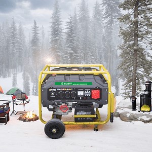 [Hot Item] 7000W Rated Power Diesel Generator with Alternator and Generator Controller