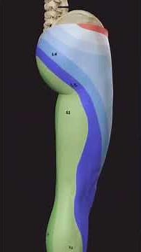 Lumbar Nerve Root Compression: How to Treat for Pain Relief and Recovery?