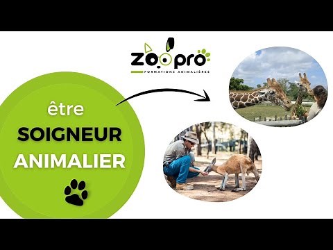 Devenir soigneur animalier - les réalités sur le métier