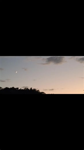 The bird watcher 🐦 🦜 🦚 (@thechirpchirpwatcher)’s videos with Navajo - AG Sintonia Project