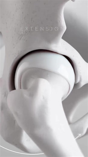 Notre articulation Coxo-fémorale (de la Hanche) permet une grande mobilité en Flexion >130°, mais aussi en Extension jusqu'à 30°. 🔥 Cette mobilité en Extension est souvent perdue à cause de la raideur des muscles Fléchisseurs de Hanche (ilio-psoas, quadriceps...) ! 🤨 Our Hip Joint (coxo-femoral) allows for great mobility in flexion >130°, but also in extension up to 30°. 🤓 This mobility in extension is often lost due to stiffness of the hip flexor muscles (iliopsoas, quads...) ! 🤔 Video: ato