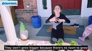 11K views · 99 shares | “Gardening Fun For Everyone” How to grow more from store bought plants (Mint and Basil) using what you have at home. #deaftalent #gardening #signlanguage #americansignlanguage #greenthumb | Savvy ASL | Facebook