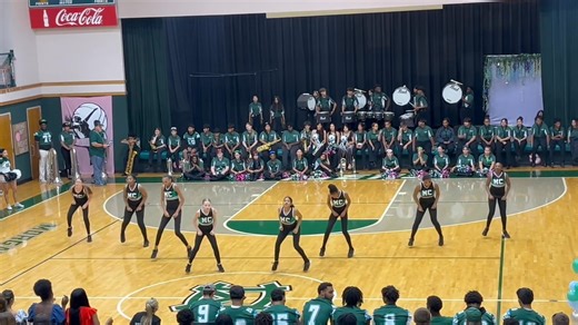 OMG THEY DID SO GOOD!! MCJHS TIGERETTES🐯💚 | Jannell Robinson