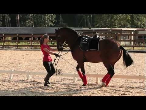 Freiberger Emerito, Klassisch-Barock ausgebildet