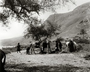 Magdala, on the Sea of Galilee Unearthed - Magdalene Publishing