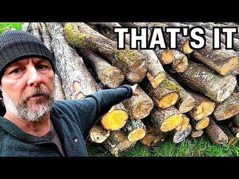 Finally The Last Of It - Hauling Logs For Firewood