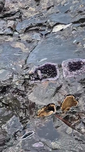 Hunt amethyst Video 🎥 copyright ©️ Appreciation of Rough Crystal #minerals #mineralspecimen #mineralsforsale #fineminerals #gemsandminerals #rocksandminerals #specimen #specimens #crystals #crystaladdict #crystal #crystalhealing t#crystalmagic #crystalshop #crystallove #crystalcollection #crystal #gemstones #gem #healinggems #rock #mineralsminer #tucsongemshovw #munich #usa #uk #france | Mirson Fine Minerals