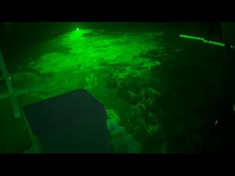 DIY Laser Swamp