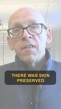 One of the world’s rarest dinosaur fossils discovered by Winona State University faculty and alumni