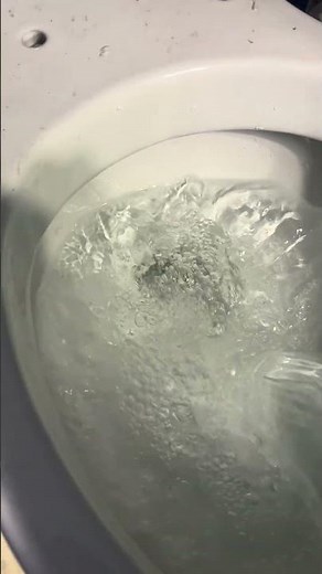 2023 Project Source Pro Flush Bucket Flush