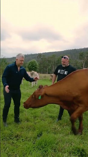 Dairy Destinations: Bruny Island Cheese #roadtrips
