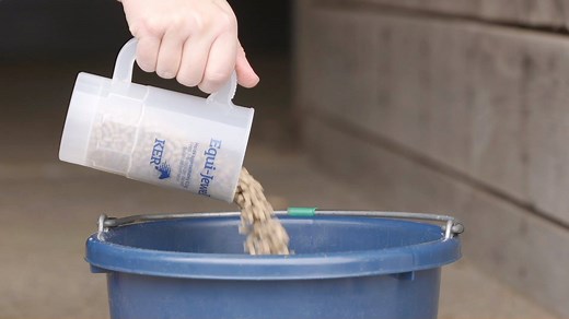 252 reactions · 24 shares | IT'S BACK! Equi-Jewel® is the original, research-proven stabilised rice bran product for horses and is the only conditioning supplement to include KER BMC™ to buffer the digestive tract. Now available at a stockist near you! | Kentucky Equine Research | Facebook