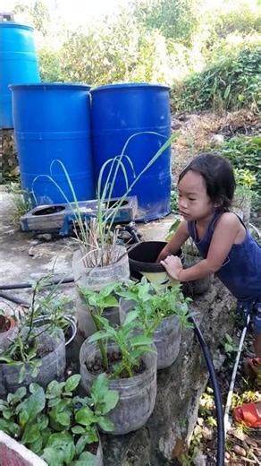 Jadin is watering the vegetables