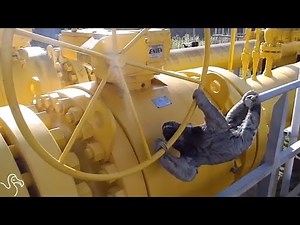 Sloth Using His Hands To Turn A Wheel Is Mesmerizing