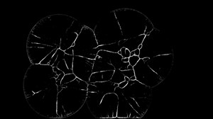 Premium stock video - Simulated animation of several organisms growing and expanding as they develop