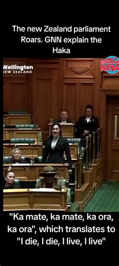 Traditional Maori Haka Dance at New Zealand Parliament