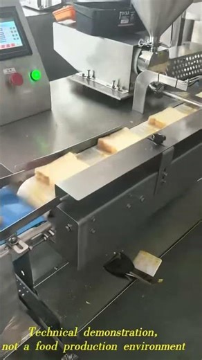 Custom Pork Floss Toast Line - Full Automation for Vietnam Client | Bakery Engineering