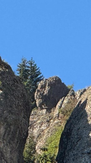 725K views · 3.5K reactions | Kral Kaya Mezarı Aslan Figürü Yatan Domuz Define İşareti Dağlar’da Hazine avcılığı Nasıl Yapılır #kral #kaya #mezarı #aslan #figürü #domuz #define #işareti King Rock Tomb Lion Figure Lying Pig Treasure Sign How to do Treasure hunting in the Mountains #king #rock #tomb #lion #figure #pig #treasure #sign | Defineye Giden Yol - The way to The Treasure | Facebook