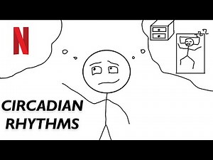 Your Body Has its Own Clock | Circadian Rhythm Explained