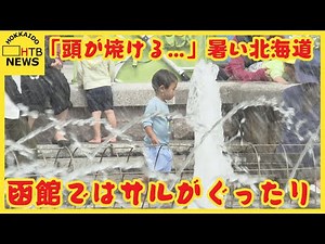 横浜からの観光客「頭が焼ける 暑い」 暑さ続く北海道 十勝地方は猛暑日の予想 函館ではサルがぐったり