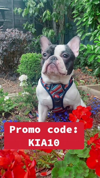 Thank you so so so much @twiggytags ! I’m so grateful and in LOVE with this harness!