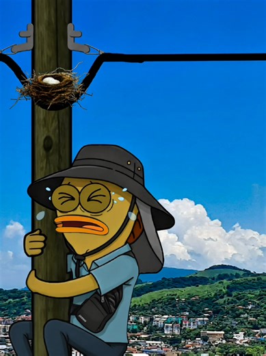 Primera vez de mi chaleco subiéndose a un poste🤣🤣🤣 (ya va aprendiendo) #trabajo #comedia #paratii #mexico🇲🇽 #humor