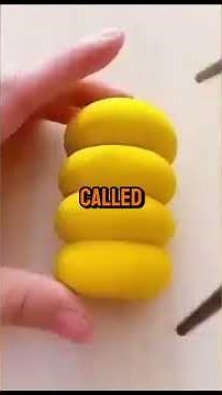 10 Funny Facts That Will Amaze You - For Real.