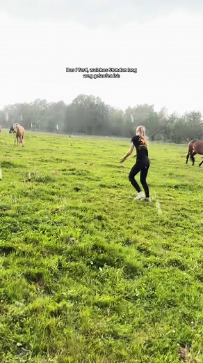 Wie läuft es grade mit eurem Pferd?