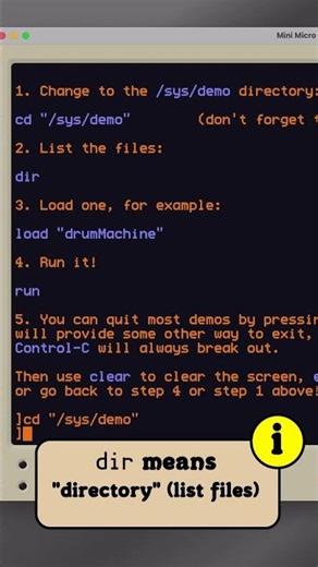 Mini Micro: What Do I Do?