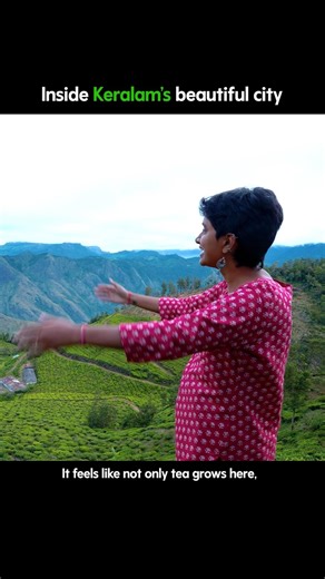 Inside Kerala's tea garden 🍃