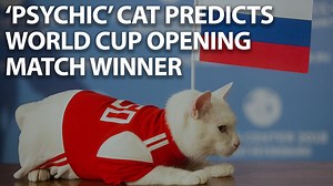 362K views · 1.4K shares | Achilles, a cat said to have psychic powers, has predicted the winner of the first game in the 2018 World Cup, set to kick off on June 14. Given a choice between Saudi Arabia and Russia, Achilles favored the hosts. https://ti.me/2t1xBiD | TIME | Facebook