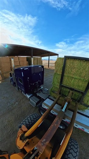 Finding the Hidden Orange Dot Challenge