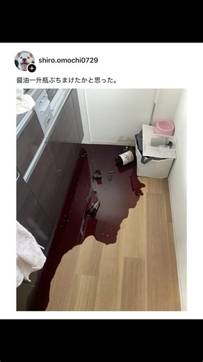 食材をぶちまけてしまった人たちがヤバすぎた・・・