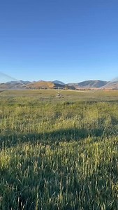 100% Chance of rain with Vaughan Low Pressure Traveling Irrigators! Made the n the USA 🇺🇸#farmers #farmlife #irrigation #irrigation # | Vaughan Irrigators USA